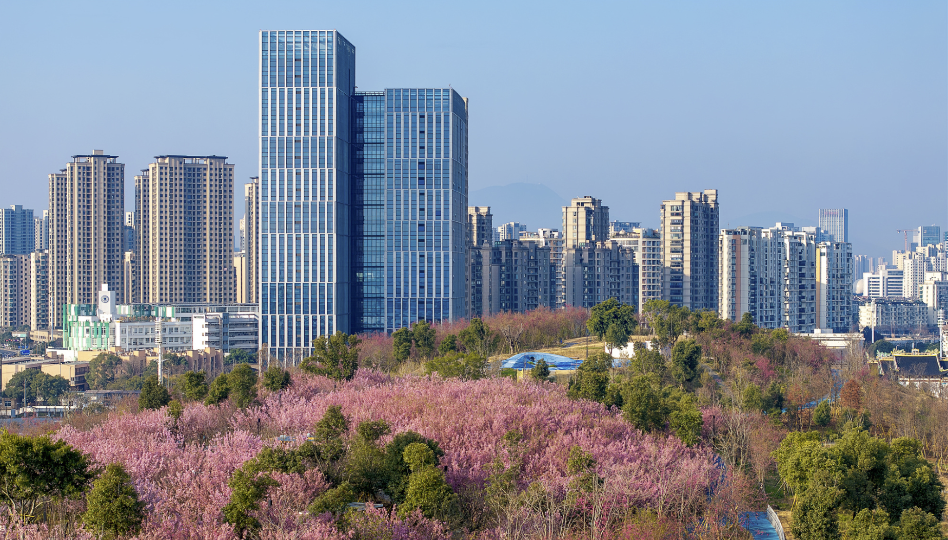 温州要“数”力全开！新生代温商给“敢为天下先”添了三个“数”